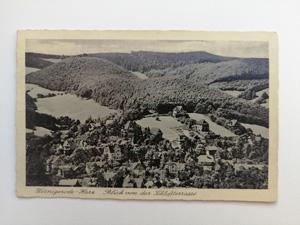 Bild verkleinern